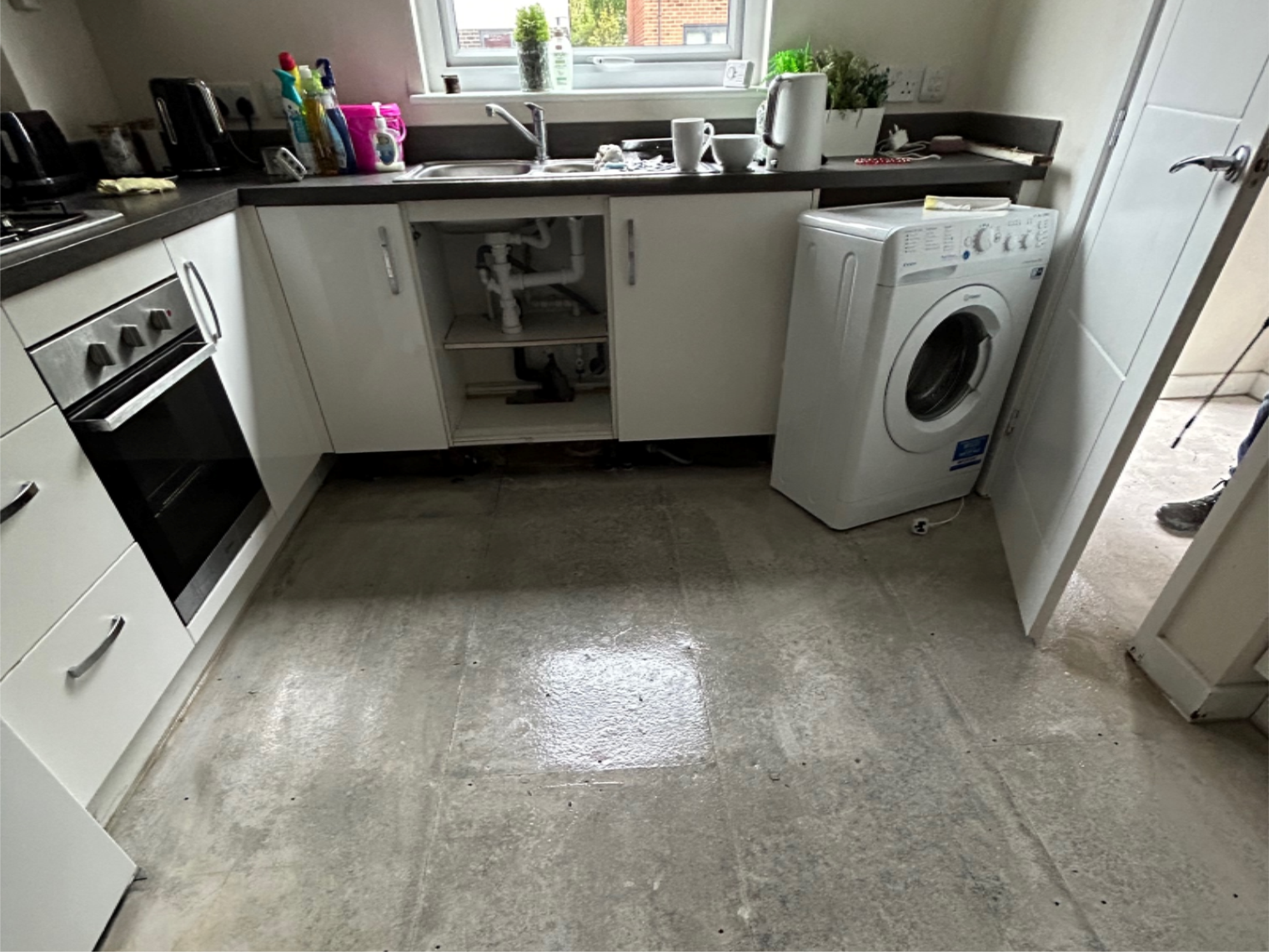 Floor covered in mold after leak