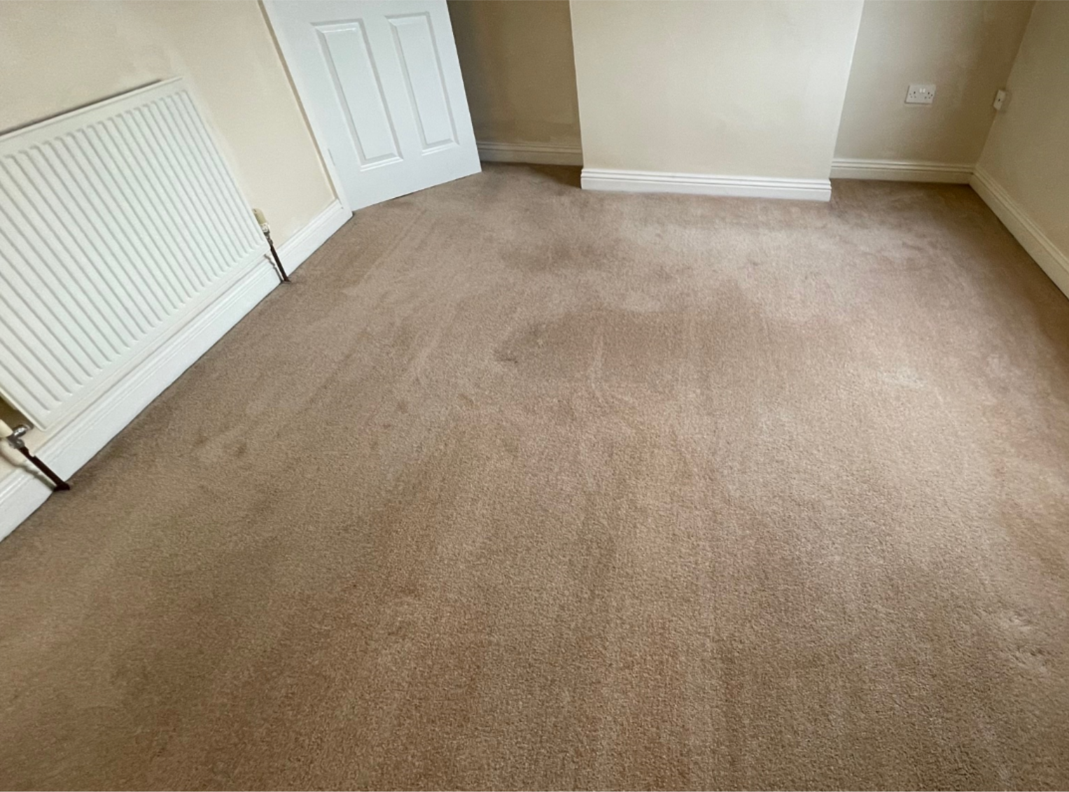 Cleaning Carpets